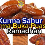 Foto 1 Kurma cover