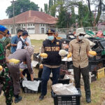 Foto 0026 mangga selundup