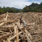 Pemerintah Segel 4 Pelaku Perusakan Hutan Pemicu Banjir Sumatera Foto Des07 Hutan
